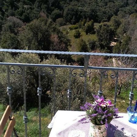 Stellaria Casa Vacanze In Montagna Panorama Stupendo Sardegna Seùlo Екстериор снимка