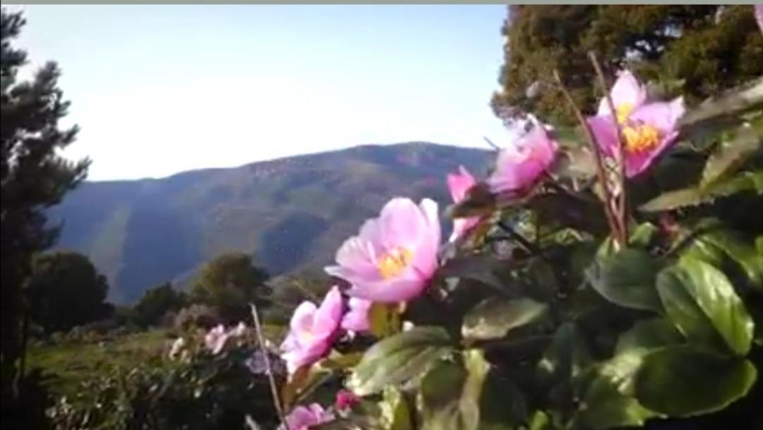 Stellaria Casa Vacanze In Montagna Panorama Stupendo Sardegna Seùlo Екстериор снимка