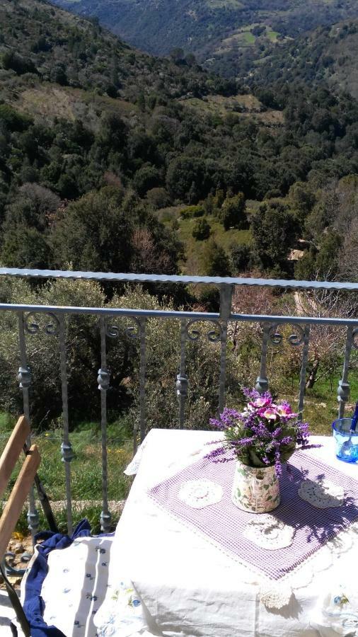 Stellaria Casa Vacanze In Montagna Panorama Stupendo Sardegna Seùlo Екстериор снимка