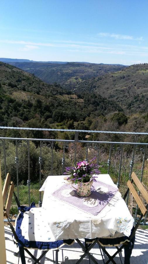 Stellaria Casa Vacanze In Montagna Panorama Stupendo Sardegna Seùlo Екстериор снимка